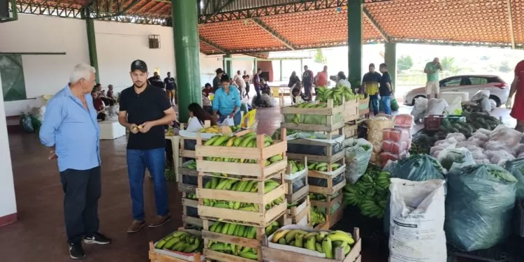 Transporte da Produção Rural da Semagric garante economia e facilita entrega de alimentos em Porto Velho