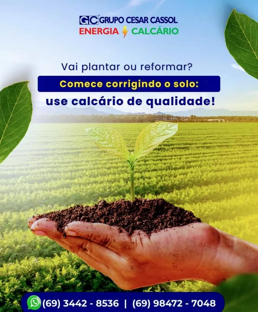  Grupo César Cassol: Produção a Todo Vapor