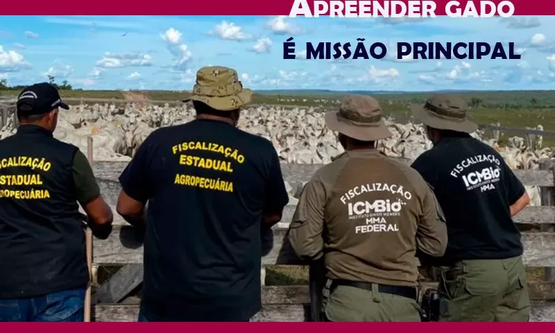 O ICMBIO É APENAS MAIS UMA EXCRESCÊNCIA NO APARELHAMENTO DO ESTADO CONTRA OS PRODUTORES BRASILEIROS