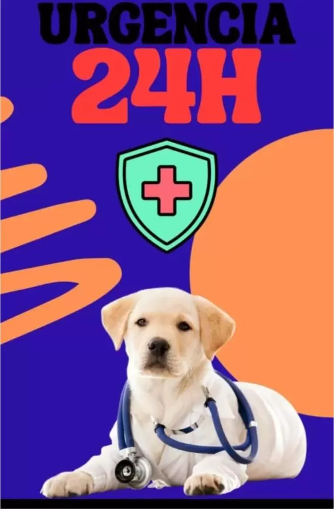 Clínica Mundo Pet oferece atendimento 24 horas em Ji-Paraná