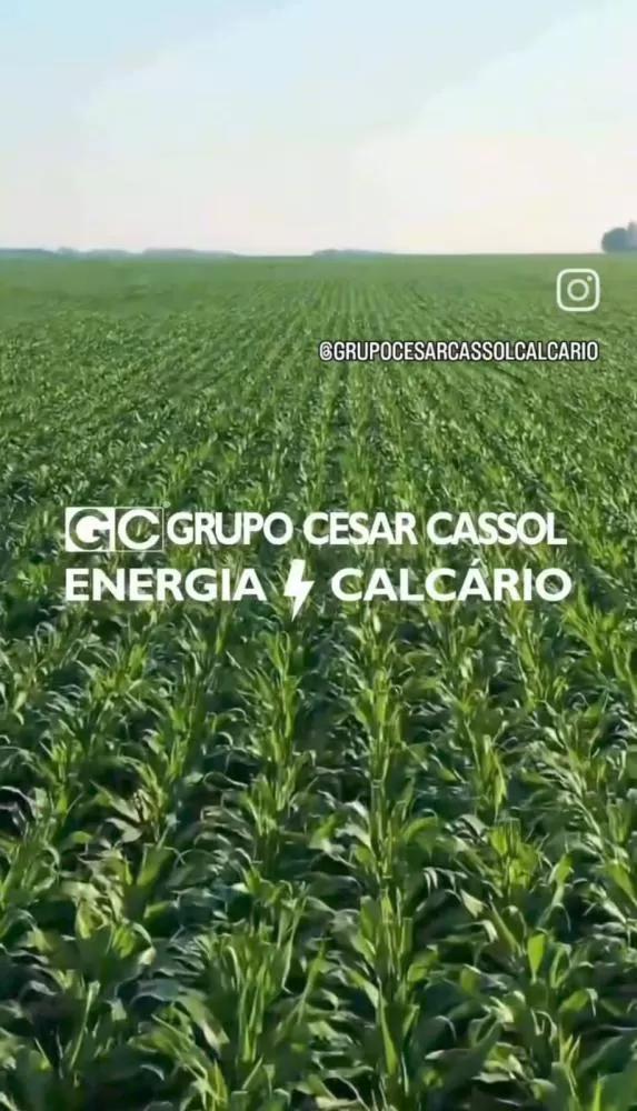 Calcário: a base da produtividade no campo