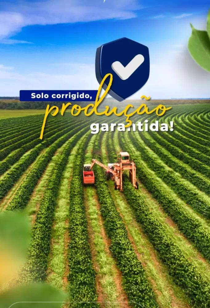  Grupo Cesar Cassol garante mais produtividade no campo